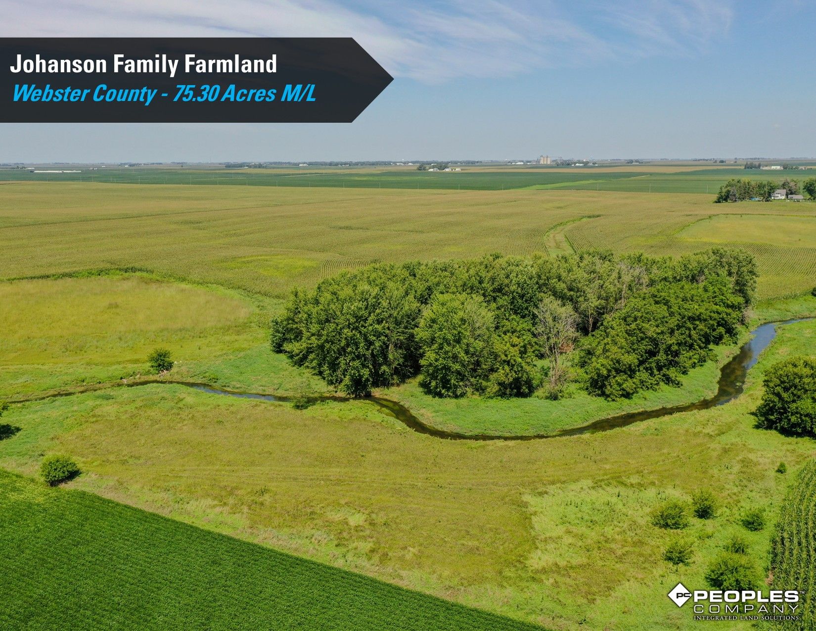 Listing Photo: Webster County Iowa Farmland Available 7